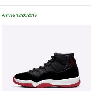 Jordan 11 bred